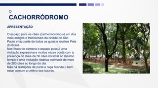 APRESENTAÇÃO
O espaço para os cães (cachorródromo) é um dos
mais antigos e tradicionais da cidade de São
Paulo e faz parte de todos os guias e roteiros Pets
do Brasil.
Nos finais de semana o espaço possui uma
visitação expressiva e muitas vezes conta com a
presença de mais de 50 cães no local ao mesmo
tempo e uma visitação rotativa estimada de mais
de 200 cães ao longo do dia.
Não há restrições de porte e raça ficando o bem
estar comum a critério dos tutores.
O
CACHORRÓDROMO
 