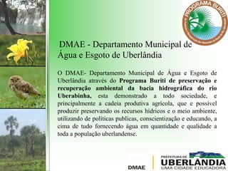 O DMAE- Departamento Municipal de Água e Esgoto de
Uberlândia através do Programa Buriti de preservação e
recuperação ambiental da bacia hidrográfica do rio
Uberabinha, esta demonstrado a todo sociedade, e
principalmente a cadeia produtiva agrícola, que e possível
produzir preservando os recursos hídricos e o meio ambiente,
utilizando de políticas publicas, conscientização e educando, a
cima de tudo fornecendo água em quantidade e qualidade a
toda a população uberlandense.
DMAE - Departamento Municipal de
Água e Esgoto de Uberlândia
 