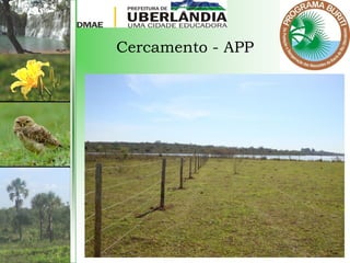 Cercamento - APP
 