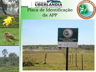 Placa de Identificação
da APP
 