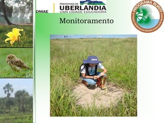 Monitoramento
 