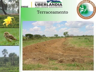 Terraceamento
 