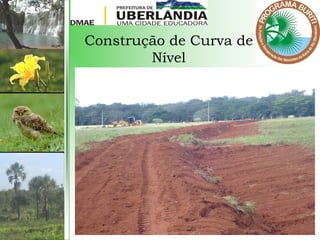 Construção de Curva de
Nível
 