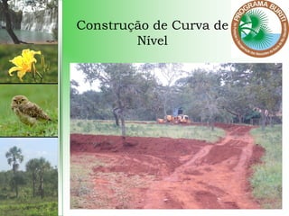 Construção de Curva de
Nível
 