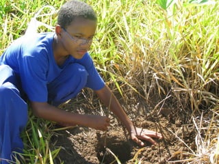 OBRIGADA!!
2007 - 2010
810 visitas. 37 mil km rodados
 