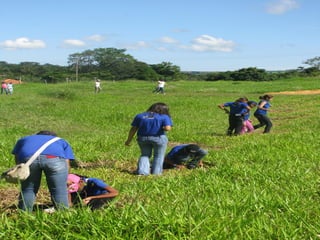 OBRIGADA!!
2007 - 2010
810 visitas. 37 mil km rodados
 