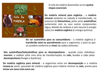 O ciclo da matéria desenvolve-se em quatro etapas essenciais:Da matéria mineral para orgânica- a matéria mineral existente no subsolo é transformada, no processo da fotossíntese, pelos seres autotróficos juntamente com os seus outros componentes (água, dióxido de carbono e com recurso à energia solar) em matéria orgânica (e energia química). Do ser autotrófico para os consumidores- a matéria orgânica é transferida total ou parcialmente para o organismo, e para os que se sucedem conforme os níveis da cadeia alimentar. Dos autotróficos/heterotróficos para os decompositores- quando esses indivíduos morrem, o cadáver sofre uma série de transformações no solo, levadas a cabo pelos decompositores (fungos e bactérias). Da matéria orgânica para mineral- o organismo entra em decomposição e a matéria renova-se assim, passando de matéria orgânica para matéria mineral no solo, pronta para iniciar um novo ciclo outra vez. 