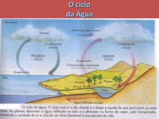 O ciclo da ÁguaVer pp ciclo água