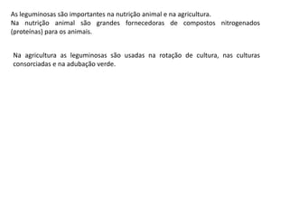 As leguminosas são importantes na nutrição animal e na agricultura.Na nutrição animal são grandes fornecedoras de compostos nitrogenados (proteínas) para os animais.Na agricultura as leguminosas são usadas na rotação de cultura, nas culturas consorciadas e na adubação verde.