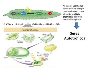 As plantas usam a luz como fonte de energia para produzirem o seu alimento (matéria orgânica) a partir de material inorgânico. Seres Autotróficos