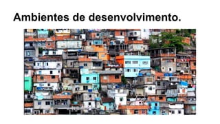 Ambientes de desenvolvimento. 
 