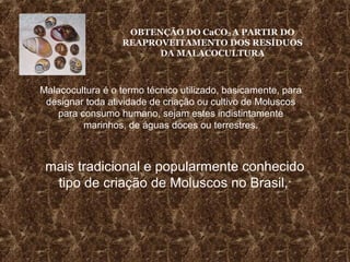 OBTENÇÃO DO CaCO3 A PARTIR DO
                  REAPROVEITAMENTO DOS RESÍDUOS
                        DA MALACOCULTURA



Malacocultura é o termo técnico utilizado, basicamente, para
 designar toda atividade de criação ou cultivo de Moluscos
    para consumo humano, sejam estes indistintamente
          marinhos, de águas doces ou terrestres.



 mais tradicional e popularmente conhecido
  tipo de criação de Moluscos no Brasil,”
 