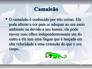 Camaleão
   O camaleão é conhecido por três coisas. Ele
    pode alterar a cor para se adequar ao seu meio
    ambiente ou devido a seu humor, ele pode
    mover seus olhos independentemente um do
    outro e ele tem uma língua que é lançada em
    alta velocidade a uma extensão do que o seu
    corpo.
 