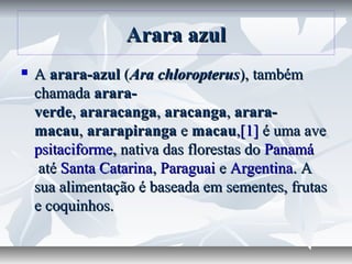 Arara azul
   A arara-azul (Ara chloropterus), também
    chamada arara-
    verde, araracanga, aracanga, arara-
    macau, ararapiranga e macau,[1] é uma ave
    psitaciforme, nativa das florestas do Panamá
     até Santa Catarina, Paraguai e Argentina. A
    sua alimentação é baseada em sementes, frutas
    e coquinhos.
 