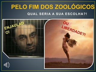 PELO FIM DOS ZOOLÓGICOS 
QUAL SERIA A SUA ESCOLHA?! 
 