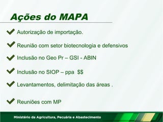 Ações do MAPA 
Autorização de importação. 
Reunião com setor biotecnologia e defensivos 
Inclusão no Geo Pr – GSI - ABIN 
Inclusão no SIOP – ppa $$ 
Levantamentos, delimitação das áreas . 
Reuniões com MP 
 