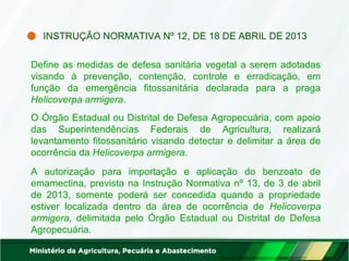 INSTRUÇÃO NORMATIVA Nº 12, DE 18 DE ABRIL DE 2013 
Define as medidas de defesa sanitária vegetal a serem adotadas 
visando à prevenção, contenção, controle e erradicação, em 
função da emergência fitossanitária declarada para a praga 
Helicoverpa armigera. 
O Órgão Estadual ou Distrital de Defesa Agropecuária, com apoio 
das Superintendências Federais de Agricultura, realizará 
levantamento fitossanitário visando detectar e delimitar a área de 
ocorrência da Helicoverpa armigera. 
A autorização para importação e aplicação do benzoato de 
emamectina, prevista na Instrução Normativa nº 13, de 3 de abril 
de 2013, somente poderá ser concedida quando a propriedade 
estiver localizada dentro da área de ocorrência de Helicoverpa 
armigera, delimitada pelo Órgão Estadual ou Distrital de Defesa 
Agropecuária. 
 