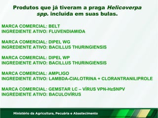 Produtos que já tiveram a praga Helicoverpa 
spp. incluída em suas bulas. 
MARCA COMERCIAL: BELT 
INGREDIENTE ATIVO: FLUVENDIAMIDA 
MARCA COMERCIAL: DIPEL WG 
INGREDIENTE ATIVO: BACILLUS THURINGIENSIS 
MARCA COMERCIAL: DIPEL WP 
INGREDIENTE ATIVO: BACILLUS THURINGIENSIS 
MARCA COMERCIAL: AMPLIGO 
INGREDIENTE ATIVO: LAMBDA-CIALOTRINA + CLORANTRANILIPROLE 
MARCA COMERCIAL: GEMSTAR LC – VÍRUS VPN-HzSNPV 
INGREDIENTE ATIVO: BACULOVÍRUS 
 