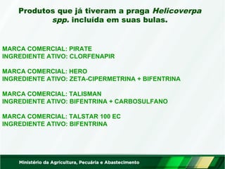Produtos que já tiveram a praga Helicoverpa 
spp. incluída em suas bulas. 
MARCA COMERCIAL: PIRATE 
INGREDIENTE ATIVO: CLORFENAPIR 
MARCA COMERCIAL: HERO 
INGREDIENTE ATIVO: ZETA-CIPERMETRINA + BIFENTRINA 
MARCA COMERCIAL: TALISMAN 
INGREDIENTE ATIVO: BIFENTRINA + CARBOSULFANO 
MARCA COMERCIAL: TALSTAR 100 EC 
INGREDIENTE ATIVO: BIFENTRINA 
 