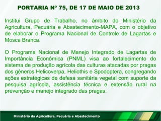 PORTARIA Nº 75, DE 17 DE MAIO DE 2013 
Institui Grupo de Trabalho, no âmbito do Ministério da 
Agricultura, Pecuária e Abastecimento-MAPA, com o objetivo 
de elaborar o Programa Nacional de Controle de Lagartas e 
Mosca Branca. 
O Programa Nacional de Manejo Integrado de Lagartas de 
Importância Econômica (PNML) visa ao fortalecimento do 
sistema de produção agrícola das culturas atacadas por pragas 
dos gêneros Helicoverpa, Heliothis e Spodoptera, congregando 
ações estratégicas de defesa sanitária vegetal com suporte da 
pesquisa agrícola, assistência técnica e extensão rural na 
prevenção e manejo integrado das pragas. 
 