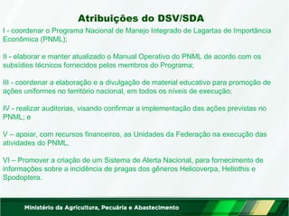 Atribuições do DSV/SDA 
I - coordenar o Programa Nacional de Manejo Integrado de Lagartas de Importância 
Econômica (PNML); 
II - elaborar e manter atualizado o Manual Operativo do PNML de acordo com os 
subsídios técnicos fornecidos pelos membros do Programa; 
III - coordenar a elaboração e a divulgação de material educativo para promoção de 
ações uniformes no território nacional, em todos os níveis de execução; 
IV - realizar auditorias, visando confirmar a implementação das ações previstas no 
PNML; e 
V – apoiar, com recursos financeiros, as Unidades da Federação na execução das 
atividades do PNML. 
VI – Promover a criação de um Sistema de Alerta Nacional, para fornecimento de 
informações sobre a incidência de pragas dos gêneros Helicoverpa, Heliothis e 
Spodoptera. 
 