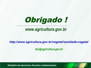 Obrigado ! 
www.agricultura.gov.br 
http://www.agricultura.gov.br/vegetal/sanidade-vegetal 
dsv@agricultura.gov.br 
