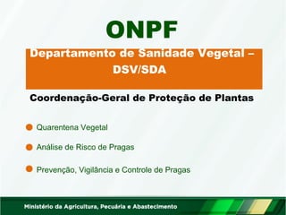 ONPF 
Departamento de Sanidade Vegetal – 
Coordenação-Geral de Proteção de Plantas 
Quarentena Vegetal 
DSV/SDA 
Análise de Risco de Pragas 
Prevenção, Vigilância e Controle de Pragas 
 