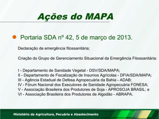 Ações do MAPA 
Portaria SDA nº 42, 5 de março de 2013. 
Declaração de emergência fitossanitária; 
Criação do Grupo de Gerenciamento Situacional da Emergência Fitossanitária: 
I - Departamento de Sanidade Vegetal - DSV/SDA/MAPA; 
II - Departamento de Fiscalização de Insumos Agrícolas - DFIA/SDA/MAPA; 
III - Agência Estadual de Defesa Agropecuária da Bahia - ADAB; 
IV - Fórum Nacional dos Executores de Sanidade Agropecuária FONESA; 
V - Associação Brasileira dos Produtores de Soja - APROSOJA BRASIL; e 
VI - Associação Brasileira dos Produtores de Algodão - ABRAPA. 
 