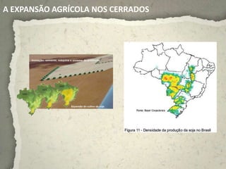 A EXPANSÃO AGRÍCOLA NOS CERRADOS
 