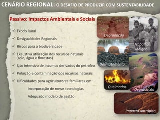 CENÁRIO REGIONAL: O DESAFIO DE PRODUZIR COM SUSTENTABILIDADE

   Passivo: Impactos Ambientais e Sociais

     Êxodo Rural
                                                          Degradação
     Desigualdades Regionais
                                                                           Trabalho
     Riscos para a biodiversidade
                                                                           Indigno
     Exaustiva utilização dos recursos naturais
      (solo, água e florestas)
     Uso intensivo de insumos derivados do petróleo    Desmatamento

     Poluição e contaminação dos recursos naturais
     Dificuldades para agriculturores familiares em:
             Incorporação de novas tecnologias             Queimadas
                                                                           Degradação
             Adequado modelo de gestão


                                                                       Impacto Antrópico
 