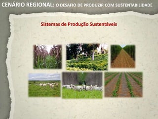 CENÁRIO REGIONAL: O DESAFIO DE PRODUZIR COM SUSTENTABILIDADE


               Sistemas de Produção Sustentáveis
 