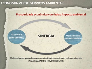 ECONOMIA VERDE: SERVIÇOS AMBIENTAIS


          Prosperidade econômica com baixo impacto ambiental




      Economia
    (Crescimento)              SINERGIA                    Meio ambiente
                                                         (Sustentabilidade)




     Meio ambiente gerando novas oportunidades econômicas e de crescimento
                      (VALORIZAÇAO DO NOVO PRODUTO)
 