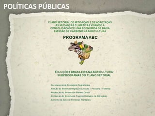 POLÍTICAS PÚBLICAS
 