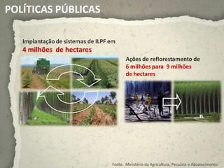POLÍTICAS PÚBLICAS

   Implantação de sistemas de ILPF em
   4 milhões de hectares
                                          Ações de reflorestamento de
                                          6 milhões para 9 milhões
                                          de hectares




                                   Fonte: Ministério da Agricultura, Pecuária e Abastecimento
 