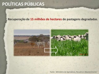 POLÍTICAS PÚBLICAS

  Recuperação de 15 milhões de hectares de pastagens degradadas.




                               Fonte: Ministério da Agricultura, Pecuária e Abastecimento
 