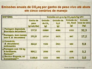 Fonte :Embrapa agrobiologia
 