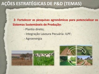 AÇÕES ESTRATÉGICAS DE P&D (TEMAS)


     2- Fortalecer as pesquisas agronômicas para potencializar os
    Sistemas Sustentáveis de Produção:
            - Plantio direto;
             - Integração Lavoura Pecuária- ILPF;
             - Agroenergia
 