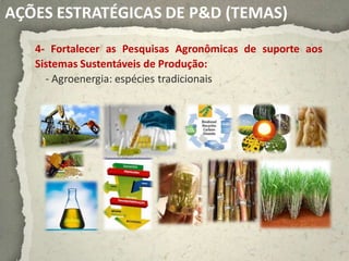 AÇÕES ESTRATÉGICAS DE P&D (TEMAS)
   4- Fortalecer as Pesquisas Agronômicas de suporte aos
   Sistemas Sustentáveis de Produção:
     - Agroenergia: espécies tradicionais
 
