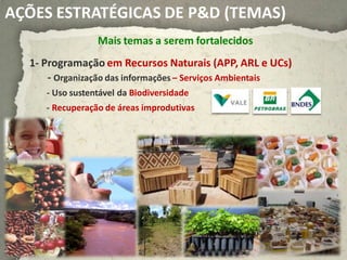 AÇÕES ESTRATÉGICAS DE P&D (TEMAS)
                 Mais temas a serem fortalecidos
  1- Programação em Recursos Naturais (APP, ARL e UCs)
      - Organização das informações – Serviços Ambientais
     - Uso sustentável da Biodiversidade
     - Recuperação de áreas improdutivas
 