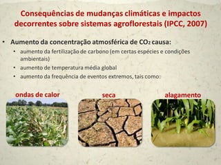 Consequências de mudanças climáticas e impactos
   decorrentes sobre sistemas agroflorestais (IPCC, 2007)

• Aumento da concentração atmosférica de CO2 causa:
   • aumento da fertilização de carbono (em certas espécies e condições
     ambientais)
   • aumento de temperatura média global
   • aumento da frequência de eventos extremos, tais como:


   ondas de calor                    seca                    alagamento
 