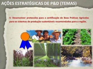 AÇÕES ESTRATÉGICAS DE P&D (TEMAS)


   5- Desenvolver protocolos para a certificação de Boas Práticas Agrícolas
   para os sistemas de produção sustentáveis recomendados para a região.
 