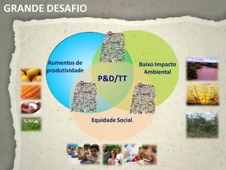 GRANDE DESAFIO



       Aumentos de                       Baixo Impacto
       produtividade                      Ambiental
                         P&D/TT



                       Equidade Social
 