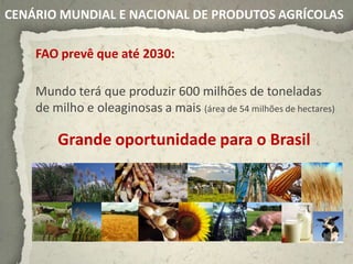CENÁRIO MUNDIAL E NACIONAL DE PRODUTOS AGRÍCOLAS

    FAO prevê que até 2030:

    Mundo terá que produzir 600 milhões de toneladas
    de milho e oleaginosas a mais (área de 54 milhões de hectares)

                              Grande oportunidade para o Brasil


      http://www.junglephotos.com/amazon/ampeople/ethnobotany/sug
                                            http://johnbokma.com/mexit/2006/12/17/sugarcane-against-the-blue-sky.jpg      http://upload.wikimedia.org/wikipedia/
                                                                                                                                                               c
      arcane.jpg                                                                                                          ommons/2/29/Cut_sugarcane.jpg




                                                                            http://www.spriinc.org/SugarCane1018634.jpg
 