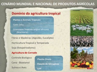 CENÁRIO MUNDIAL E NACIONAL DE PRODUTOS AGRÍCOLAS

     Domínio da agricultura tropical
      Plantas e Animais Tropicais:
                                                           Paulo Kurtz, Embrapa Wheat

      Gado Zebu
      Gramíneas Tropicais origem africana
         (Brachiaria)
                                                      Sandra Santos, Embrapa Pantanal


     Fibras e Madeiras (Algodão, Eucalípto)
     Horticultura Tropical e Temperada
     Soja (fotoperiodismo)
     Agricultura de Cerrado
     Controle Biológico
                              Plantio Direto
     Cana - Bioetanol         Fixação de Nitrogênio
     Suínos e Aves            ILPF
                                                                        Archives, Mapa
 