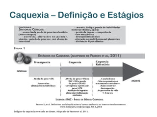 Caquexia – Definição e Estágios

 