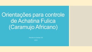 Orientações para controle
de Achatina Fulica
(Caramujo Africano)
Riachão do Dantas/ SE
2023
 