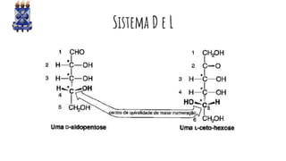 Sistema D e L
 