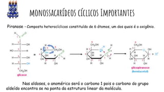 monossacarídeos cíclicos Importantes
Piranose - Composto heterocíclicos constituído de 6 átomos, um dos quais é o oxigênio.
Nas aldoses, o anomérico será o carbono 1 pois o carbono do grupo
aldeído encontra se na ponta da estrutura linear da molécula.
 
