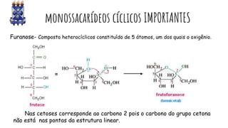 monossacarídeos cíclicos IMPORTANTES
Furanose- Composto heterocíclicos constituído de 5 átomos, um dos quais o oxigênio.
Nas cetoses corresponde ao carbono 2 pois o carbono do grupo cetona
não está nas pontas da estrutura linear.
 