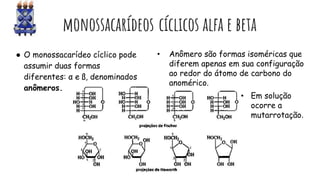monossacarídeos cíclicos alfa e beta
● O monossacarídeo cíclico pode
assumir duas formas
diferentes: α e ß, denominados
anômeros.
• Anômero são formas isoméricas que
diferem apenas em sua configuração
ao redor do átomo de carbono do
anomérico.
• Em solução
ocorre a
mutarrotação.
 